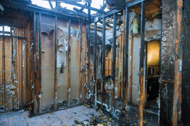 Professional Fire Damage Removal technician working in Casey, IL